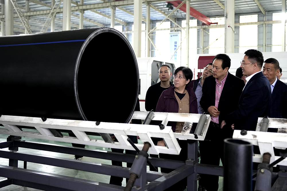 蘇州市吳江區黎里鎮人大主席袁奕帶領考察團蒞臨豪家股份考察調研